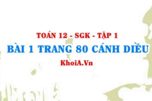 Bài 1 trang 80 Toán 12 tập 1 Cánh Diều